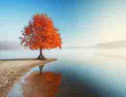 精‍准​网​站﻿监﻿控​软﻿件​